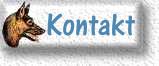 Kontakt und E Mail